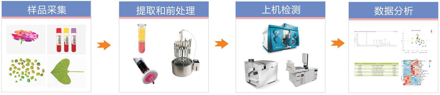 氨基酸定量檢測