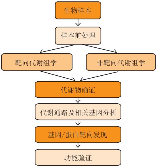 靶向與非靶向代謝組學解析