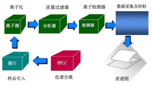 質譜儀為什么一定要真空？