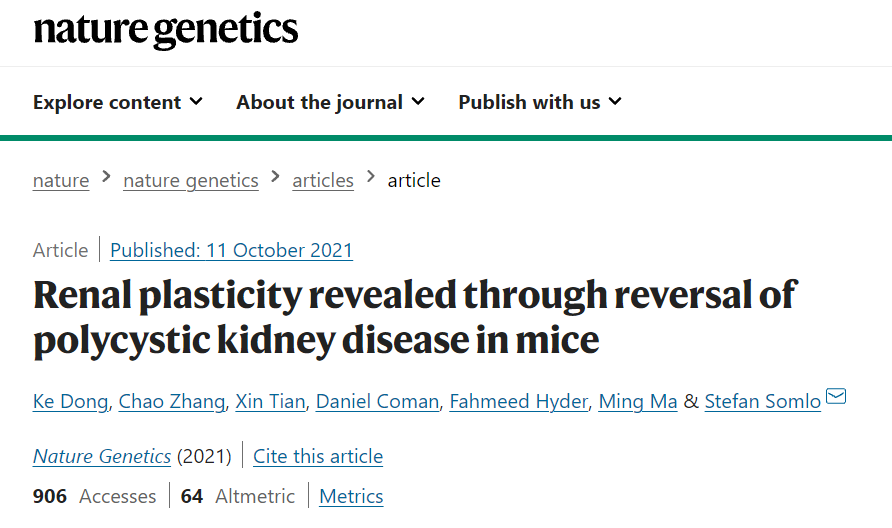 科學家通過逆轉小鼠多囊腎病揭示腎臟的可塑性