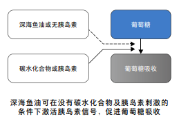 魚油能護心血管降血壓，但要控制每日攝入量